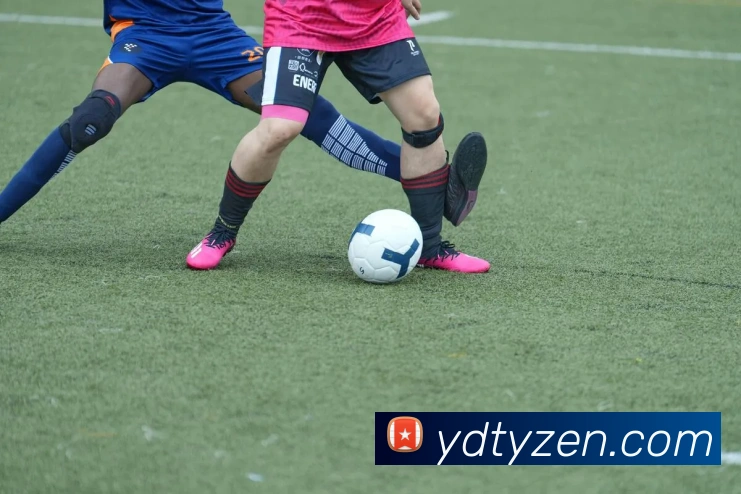 App Interface Preview