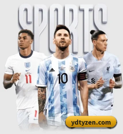 五大服务分区,信息按项目分类 - 多运动项目内容板块